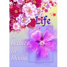 FLORAL BEAUTIES Life